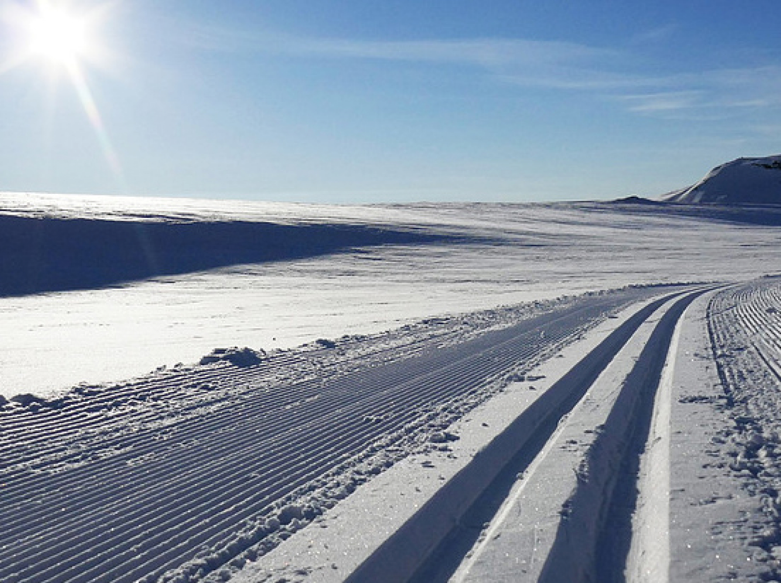 Lina belönades med 195 000 kr