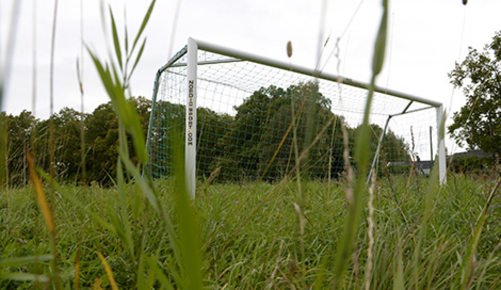 Många idrottsplatser förfaller i dagens Sverige. Gräset växer vilt och skötseln är inte vad den har varit.
