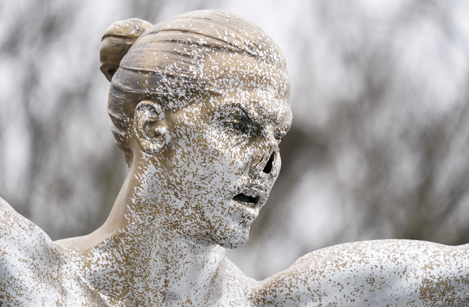 Vitmålad och utan näsa. Under en decembernatt 2019 vandaliserades Zlatanstatyn på Stadiontorget i Malmö - och då försvann näsan. Nu har förövarna plötsligt återlämnat den och statyn har i sin helhet arkiverats i ett kommunalt förråd. Foto: Johan Nilsson / TT