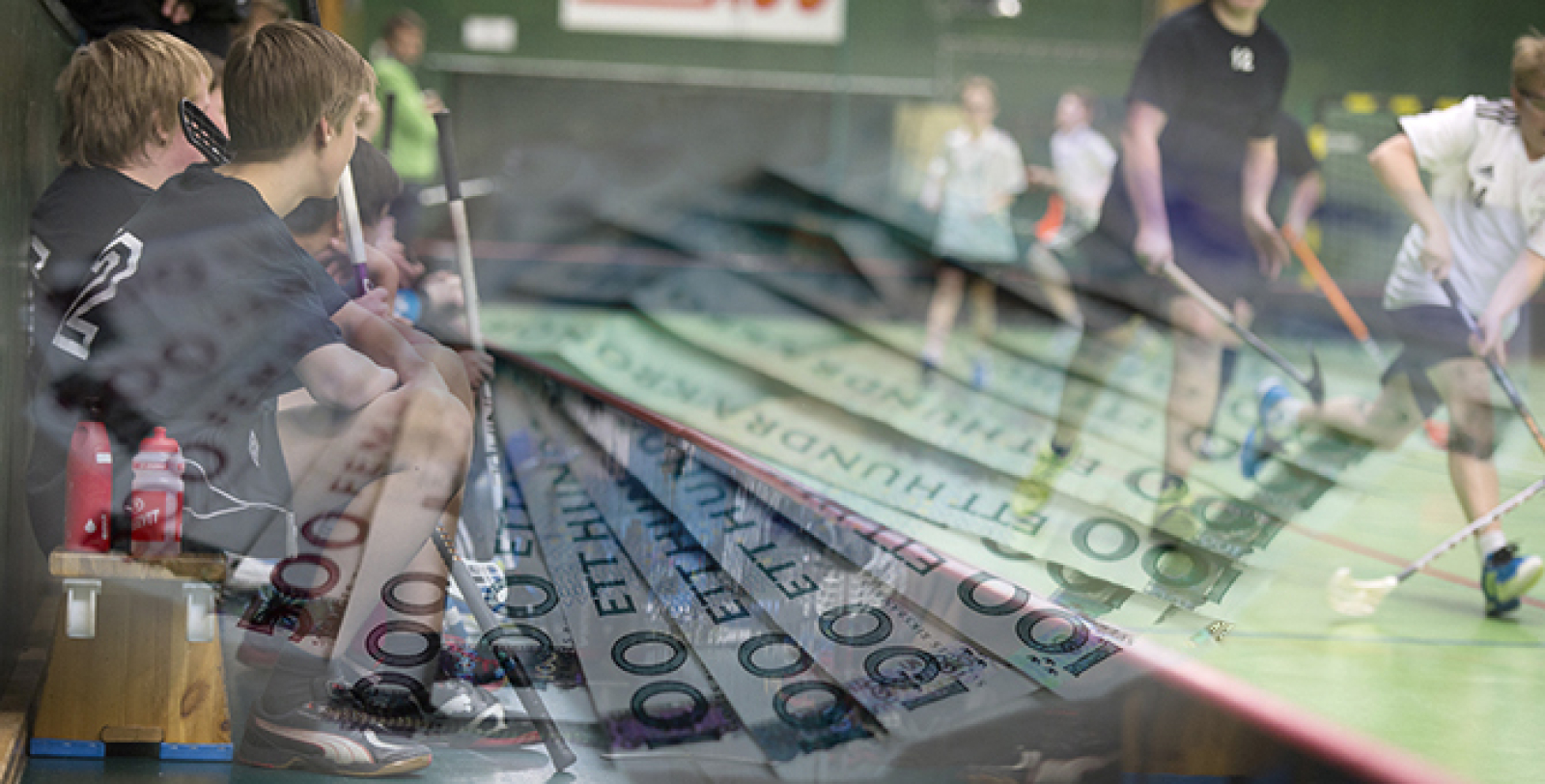 Våra nya sidor - här hittar du mera läsning!