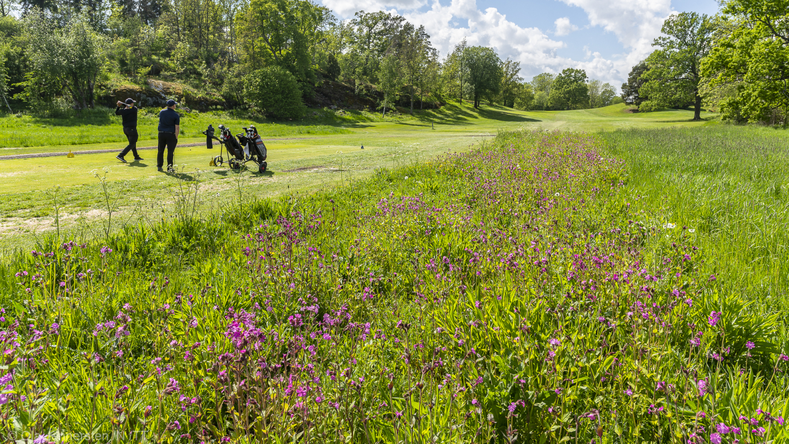 konkurrensverket ger upp