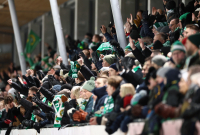 Hammarbys supportrar under en match på Zinkensdamms IP. För några år sedan hade klubben ett snitt på 3 500 åskådare. Foto: Nils Petter Nilsson / TT