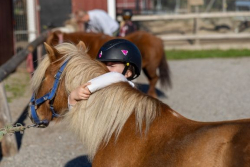 Tryggheten inom ridsporten ska utvecklas och nya miljoner från Stenbecks Stiftelse gör det möjligt. Foto: Susanne Walström