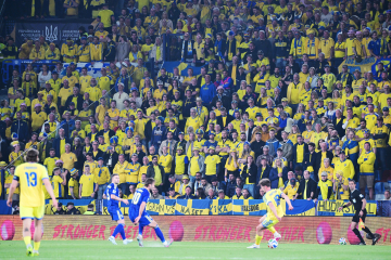 Seger i kväll, då vill säkerligen många av av de här fansen följa landslaget under slutspelet i sommar. turneringen avgörs i tre länder, Kanada, Mexiko och USA. Men nu varnnar Amnesty fotbollsfans för att bege sig till just de länderna. Foto: Jonas Ekströmer / TT