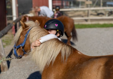 Tryggheten inom ridsporten ska utvecklas och nya miljoner från Stenbecks Stiftelse gör det möjligt. Foto: Susanne Walström